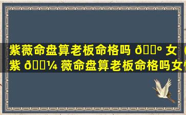 紫薇命盘算老板命格吗 🐺 女（紫 🐼 薇命盘算老板命格吗女性）